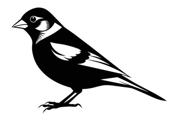 Obraz premium silhouette color image,Finch ,vector illustration,white background