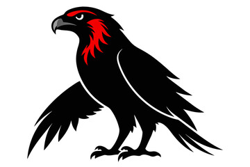 silhouette color image,Hawk ,vector illustration,white background