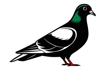 silhouette color image,Pigeon ,vector illustration,white background