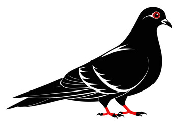 silhouette color image,Pigeon ,vector illustration,white background
