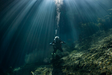 diver and sunbeams