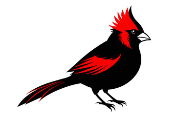 silhouette image,Cardinal  bird,vector illustration,white background