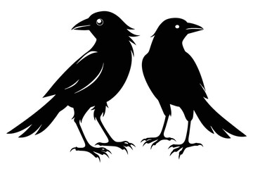 silhouette image,Crow Jay bird,vector illustration,white background