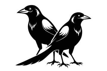 silhouette image,Crow Jay bird,vector illustration,white background