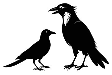 silhouette image,Crow Jay bird,vector illustration,white background