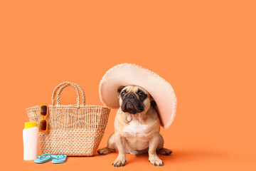 Cute French bulldog with hat sitting near beach accessories on orange background