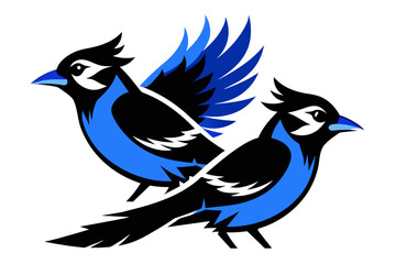  silhouette image,GBlue Jay bird,vector illustration,white background