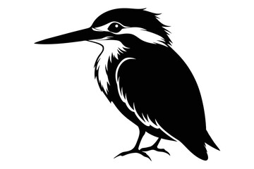 Obraz premium silhouette image,Kingfisher bird,vector illustration,white background