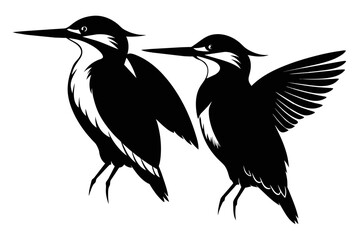 Fototapeta premium silhouette image,Kingfisher bird,vector illustration,white background