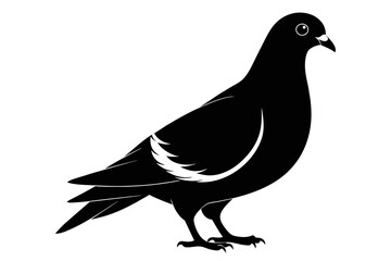 silhouette image,Pigeon bird,vector illustration,white background