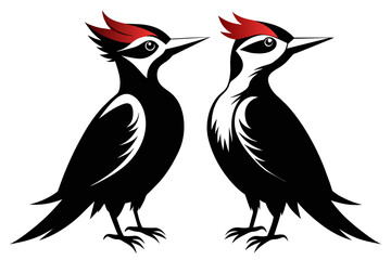 silhouette image,Woodpecker bird,vector illustration,white background