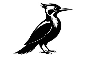 silhouette image,Woodpecker bird,vector illustration,white background