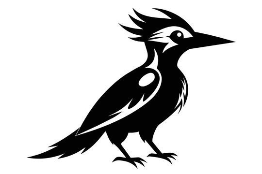 silhouette image,Woodpecker bird,vector illustration,white background
