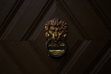 Metal door knocker in the shape of a lion with a ring on a brown door