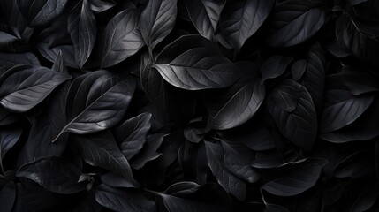 lush dark black tree or bush leaves filling the entire frame - obrazy, fototapety, plakaty