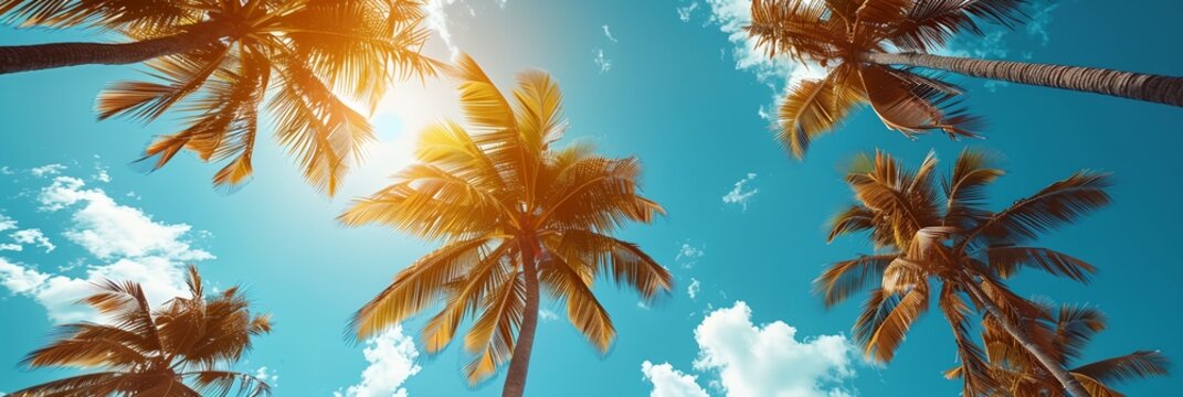 A beautiful tropical scene with palm trees and a bright blue sky. The sun is shining brightly, creating a warm and inviting atmosphere