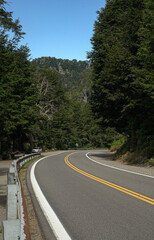 road to the mountains