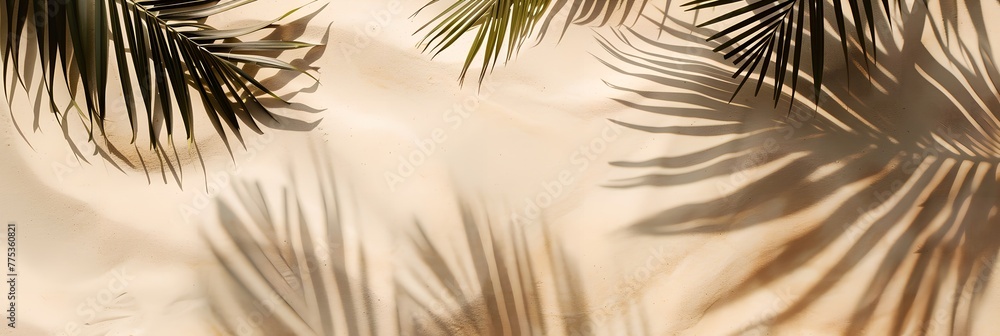 Poster palm tree is on the sand with its leaves casting a shadow. concept of relaxation and tranquility, as