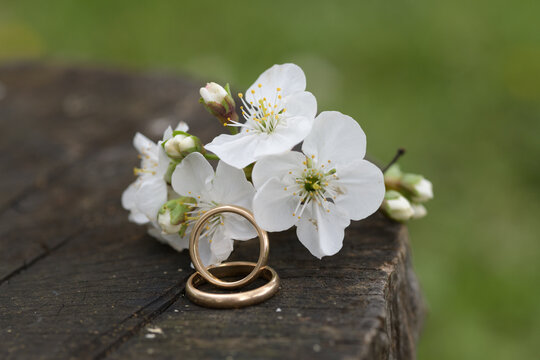 Coppia di anelli nunziali  con fiori bianchi appoggiati su un ceppo di legno