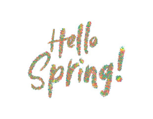 Hello Spring - lettering vector isolated on white background