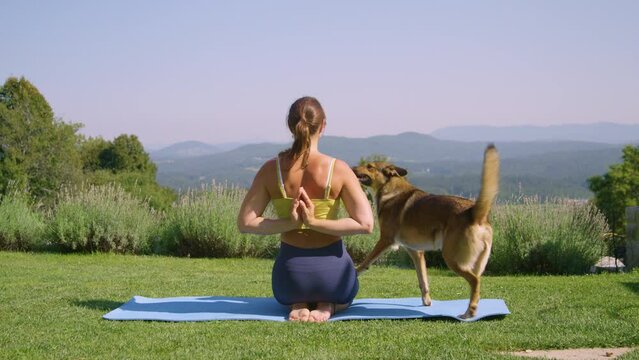 Young lady is surprised and smiles when dog brings her a toy while meditating. Woman tries to relax and practice some yoga in sunny garden while her energetic mixed breed doggo just wants to play.