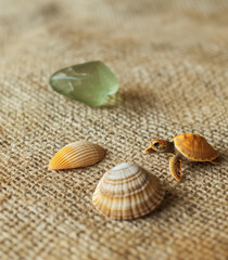 Fototapeta na wymiar Turtle made of gemstones on sand.Minimal creative nature concept.Flat lay