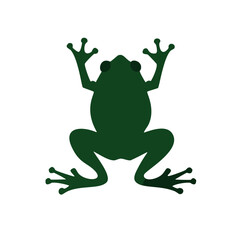 Fototapeta premium Amazonian frog vector, vectorized image of frog for graphic design and logos for stikers, with details of branches, vectorized frog to design sports t-shirts