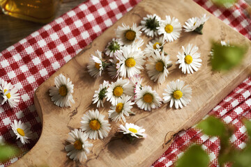 Fresh common daisy flowers on a wooden cutting board - preparation of herbal syrup