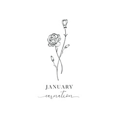 Carnation, January. Hand drawn birth flowers, Vector Graphics.