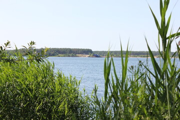 Fototapeta na wymiar grass on the lake
