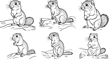 Uinta Ground Squirrel coloring page and outline vector design