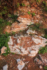moss on the rocks