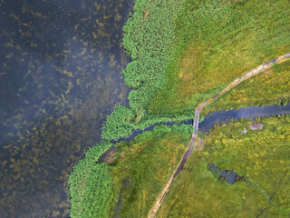 Aerial top down of coast on the Island of Rugen in Mecklenberg Vorpommern Germany