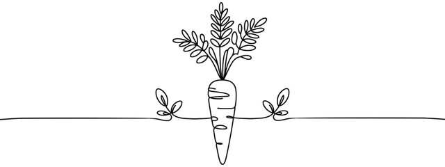 Carrot vegetable in continuous line art drawing style. Growing carrot plant minimalist black linear sketch isolated on white background. Vector illustration