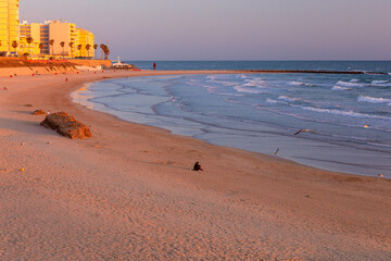 Sandy city beach in Cadiz at sunset. - 775382226