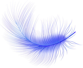 Background of flying blue realistic vector  goose or swan white feathers.Ecological feather filler for pillows, blankets or jackets.Vector concept design.