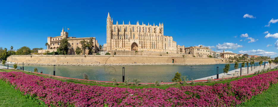 Panoramic View of a Historical Cathedral by the River with Vibrant Floral Foreground
