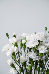 white carnation flowers bouquet, holiday greeting card background