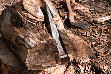 Axes with handles are placed on a wooden log. The hatchets. Harvesting firewood in the village. Craft at the countryside. Healing and longevity. Meditation of nature. Timber pantry. High resolution.