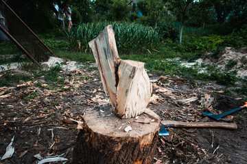 Axes with handles are placed on a wooden log. The hatchets. Harvesting firewood in the village....