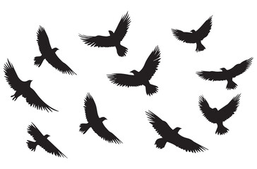 Flying birds silhouettes Vector illustration white background