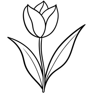 line art of a tulip