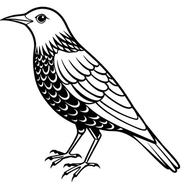 recommend clip art: starling silhouette vector illustration