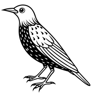recommend clip art: starling silhouette vector illustration
