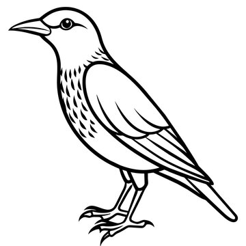 recommend clip art: starling silhouette vector illustration