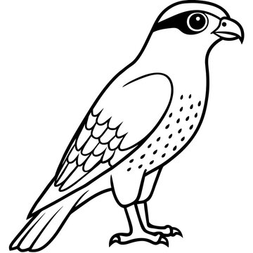 recommend clip art: line art of a sparrowhawk