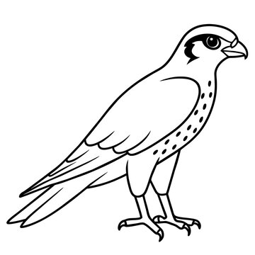recommend clip art: line art of a sparrowhawk