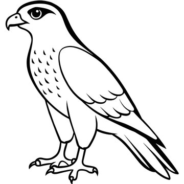 recommend clip art: line art of a sparrowhawk