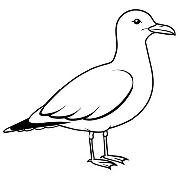 line art of a seagull