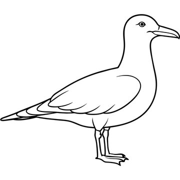 recommend clip art: line art of a seagull